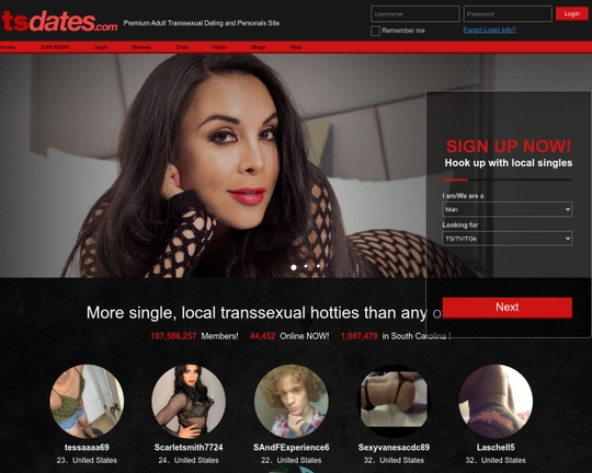TsDates Logo
